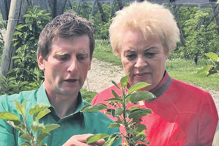 Agrar-LR Verena Dunst bei der Begutachtung der Frostschäden der Obstbaubetriebe.