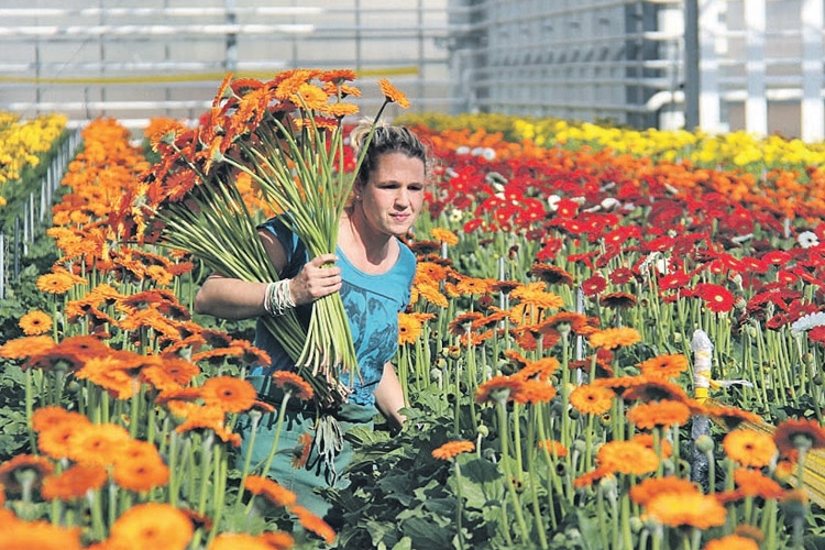 Ökologischer Gartenbau - Die Ausbildungsvielfalt bei der LAK ist groß.