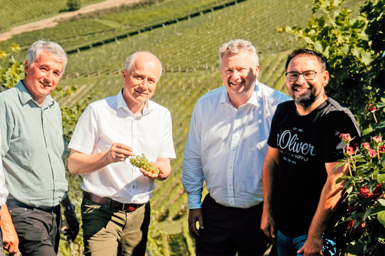 Weinbaudirektor Werner Luttenberger, Landesrat Hans Seitinger, Österreich Wein-Geschäftsführer Chris Yorke und Weinbaupräsident Stefan Potzinger (v.li.).
