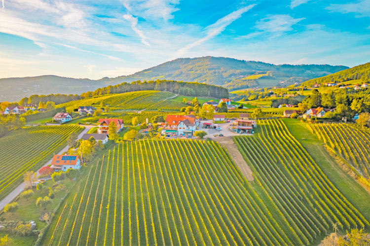 Inmitten des Hollerbergs befindet sich das ausgezeichnete Weingut &amp; Buschenschank Posch.  