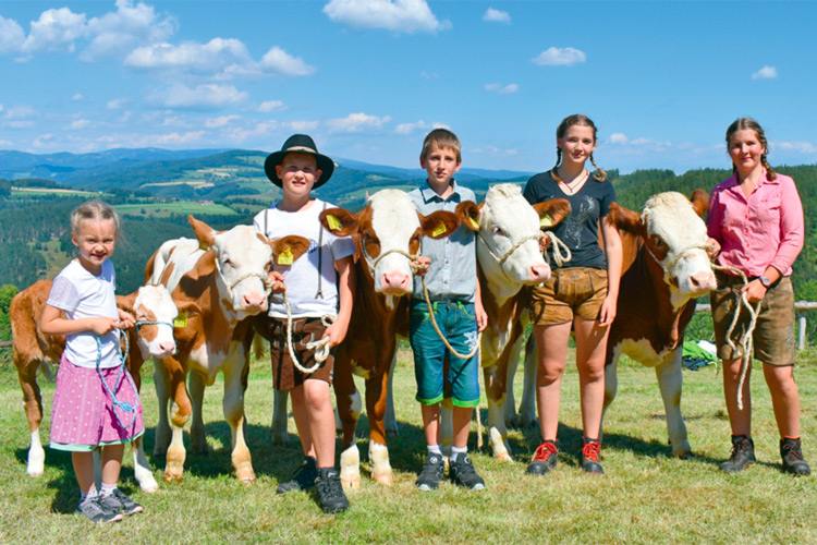 Die nächste Generation der Viehzüchter steht schon in den Startlöchern. Am Tag des Rindes fand auch ein Jungzüchterwettbewerb statt.