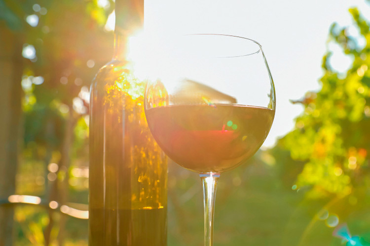 Ein Glas Uhudler genießen beim Weinfrühling.